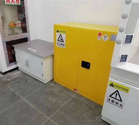 实验室工业安全柜 防爆柜危化品储存柜 厂家定制